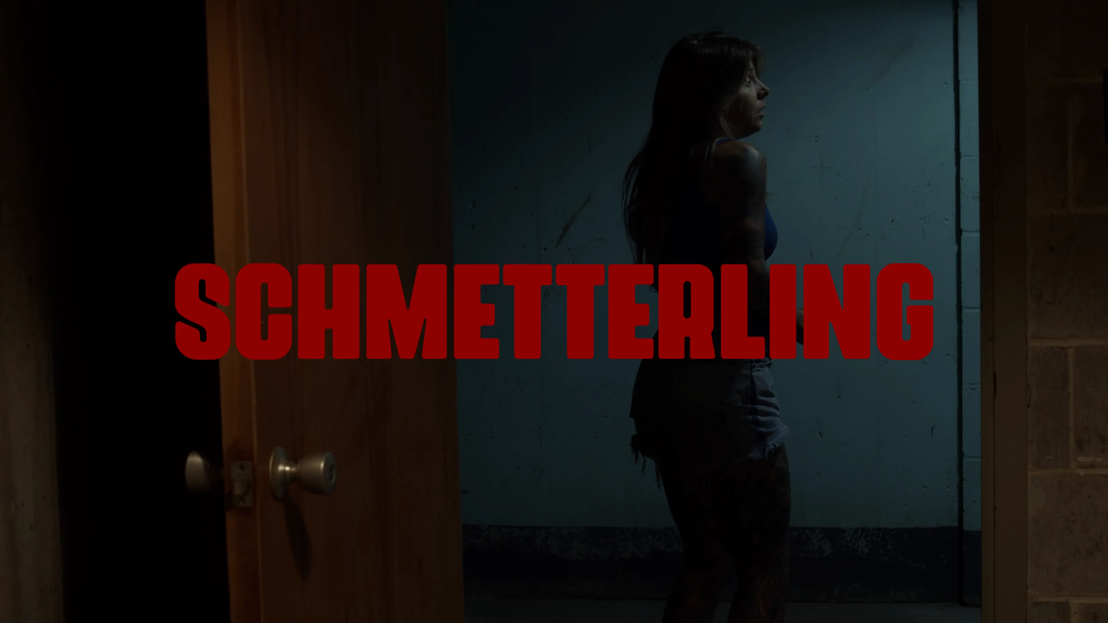 Schmetterling poster